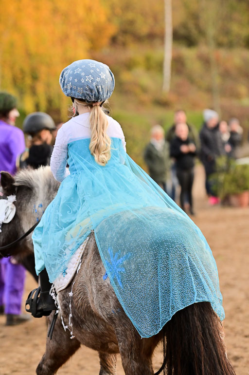  | Führzügel WB _186 