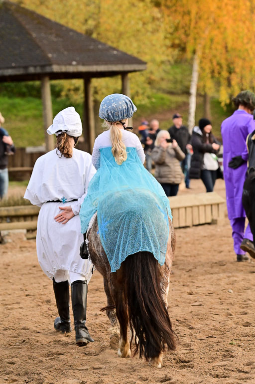  | Führzügel WB _187 