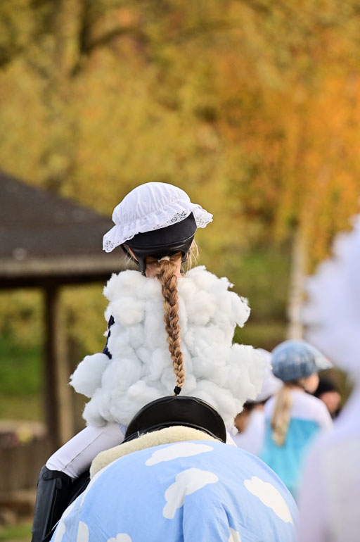  | Führzügel WB _188 