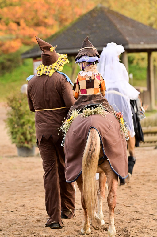  | Führzügel WB _193 