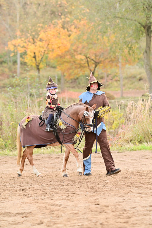  | Führzügel WB _196 