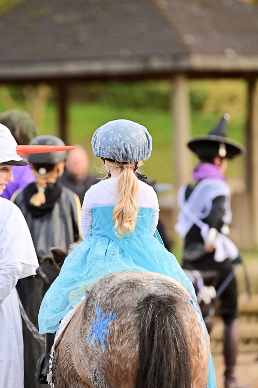  | Führzügel WB _197 