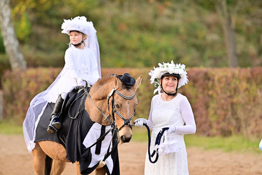  | Führzügel WB _217 