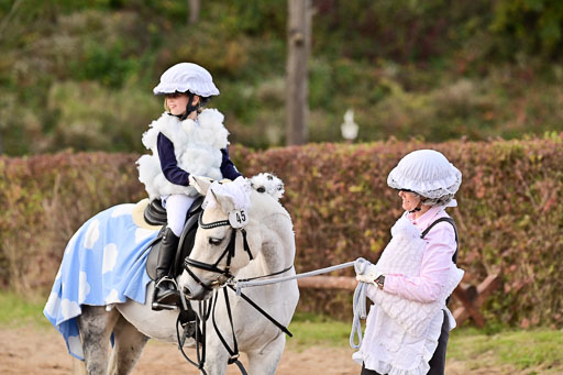  | Führzügel WB _218 