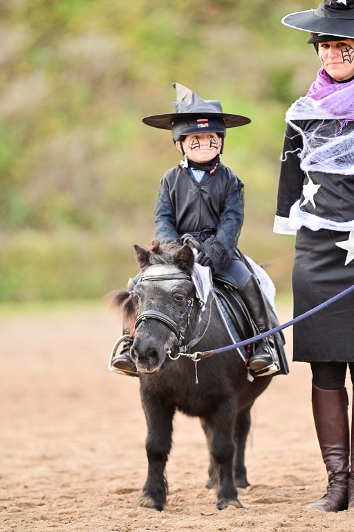  | Führzügel WB _222 