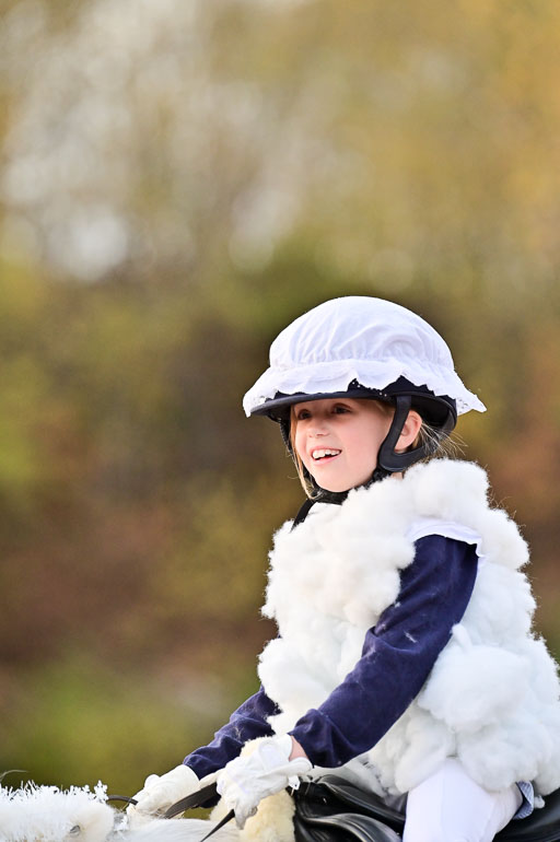  | Führzügel WB _227 