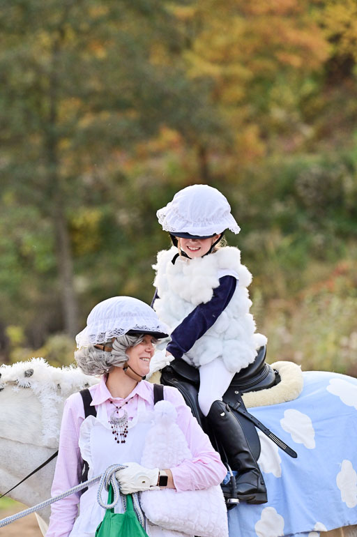  | Führzügel WB _231 