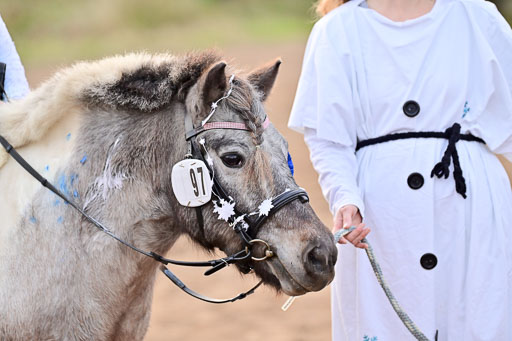  | Führzügel WB _232 