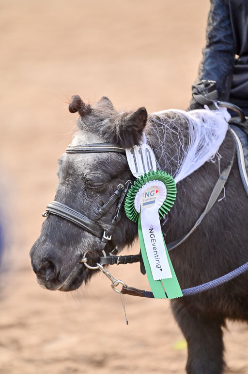  | Führzügel WB _233 