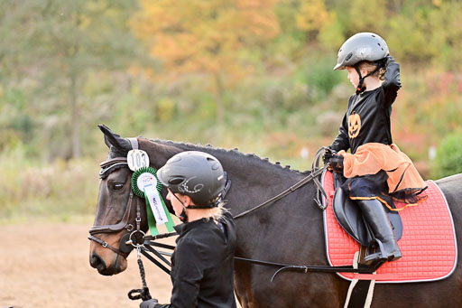  | Führzügel WB _235 