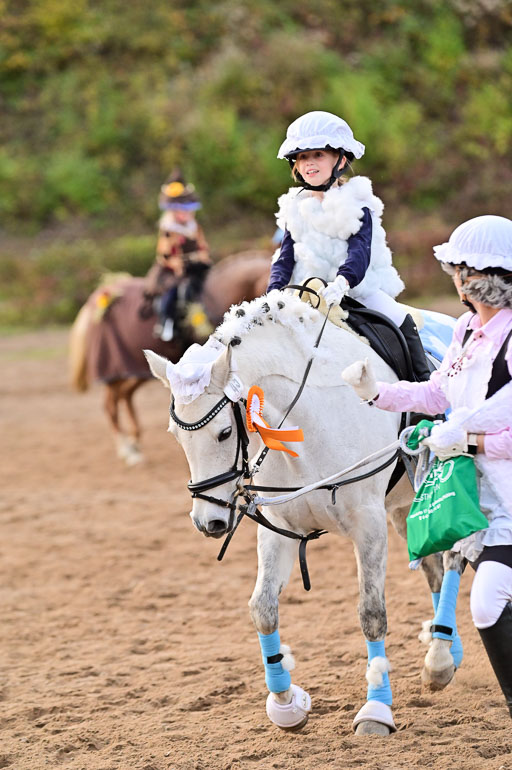  | Führzügel WB _236 