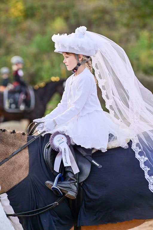  | Führzügel WB _237 