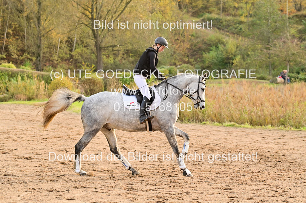 | Hunterklasse _110