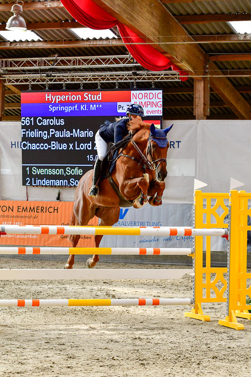 Nordic Jumping in Negernbötel 13.10.2021 | Nordic Jumping 13.10.2021_025 