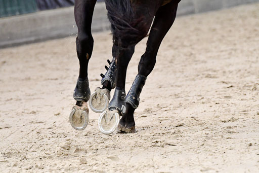 Nordic Jumping in Negernbötel 13.10.2021 | Nordic Jumping 13.10.2021_139 