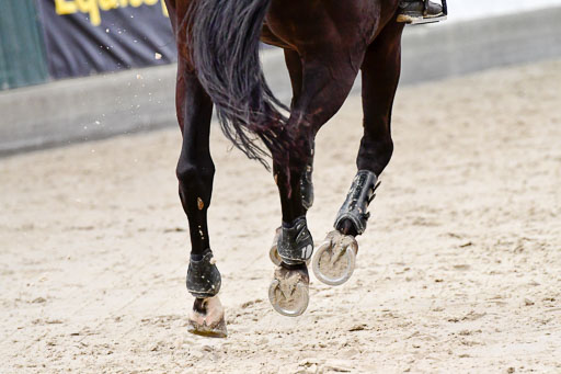 Nordic Jumping in Negernbötel 13.10.2021 | Nordic Jumping 13.10.2021_140 