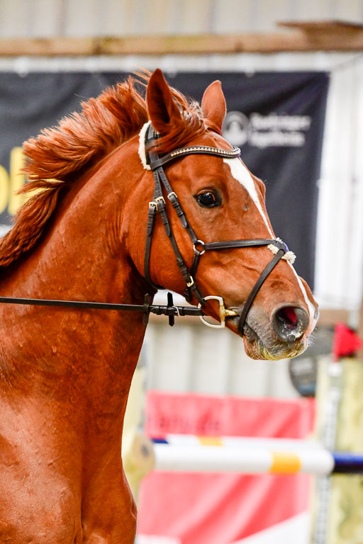 Nordic Jumping in Negernbötel 13.10.2021 | Nordic Jumping 13.10.2021_141 