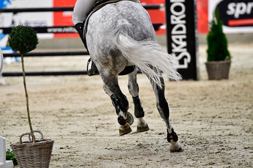 Nordic Jumping in Negernbötel 13.10.2021 | Nordic Jumping 13.10.2021_153 