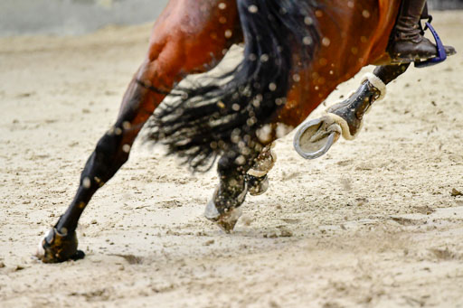 Nordic Jumping in Negernbötel 13.10.2021 | Nordic Jumping 13.10.2021_155 