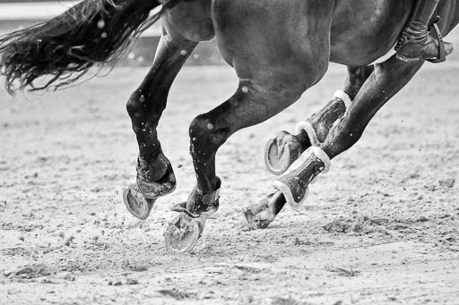 Nordic Jumping in Negernbötel 13.10.2021 | Nordic Jumping 13.10.2021_157 