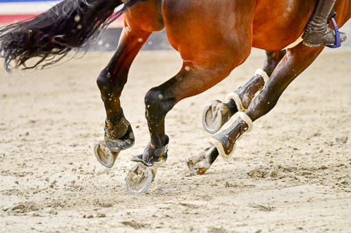 Nordic Jumping in Negernbötel 13.10.2021 | Nordic Jumping 13.10.2021_158 