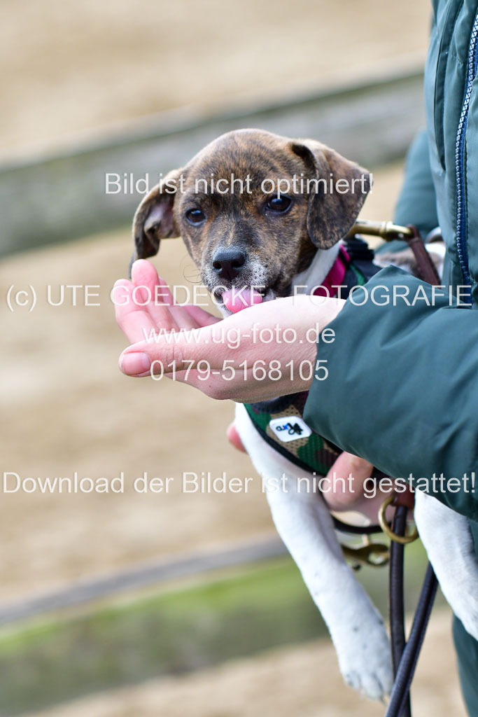 Reitsportzentrum Bremervörde 04. 2021 | Bremervörde Impressionen_01