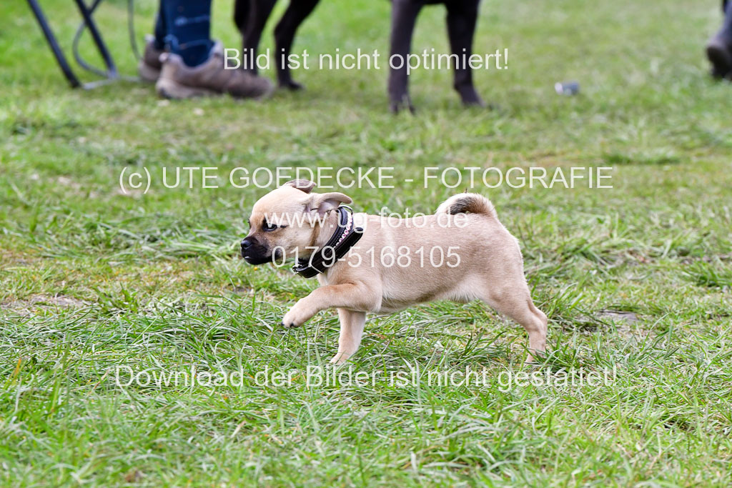 Reitsportzentrum Bremervörde 04. 2021 | Bremervörde Impressionen_29