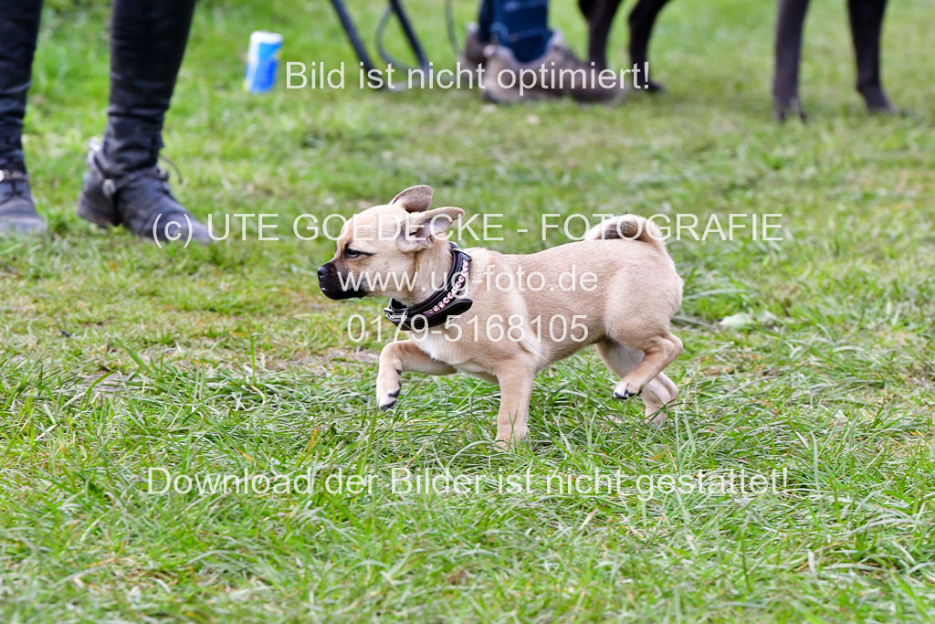 Reitsportzentrum Bremervörde 04. 2021 | Bremervörde Impressionen_30