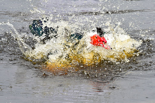 Reitsportzentrum Bremervörde 04. 2021 | Bremervörde Impressionen_17 