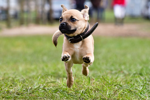 Reitsportzentrum Bremervörde 04. 2021 | Bremervörde Impressionen_37 