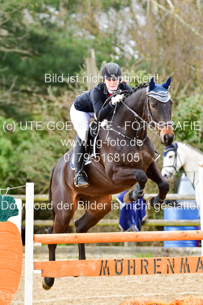 Reitsportzentrum Bremervörde 8.4.21 | 080421 Punktespring A _016