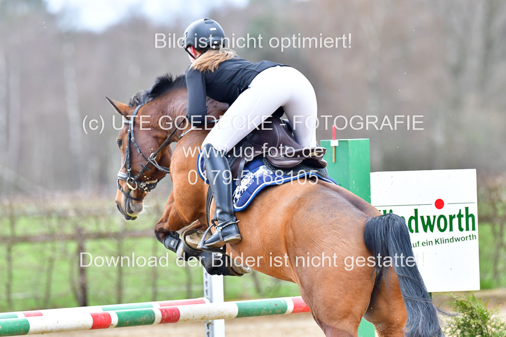 Reitsportzentrum Bremervörde 8.4.21 | 080421 Punktespring A _045
