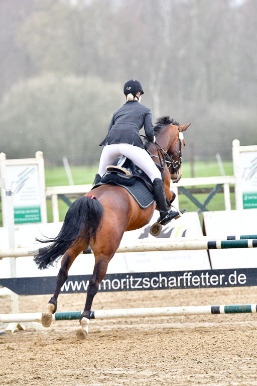 Reitsportzentrum Bremervörde 8.4.21 | 080421 Punktespring A JUN_060 