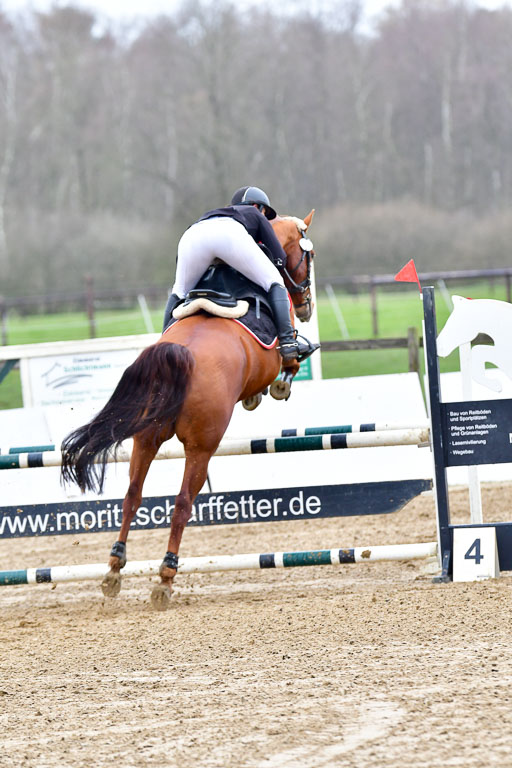 Reitsportzentrum Bremervörde 8.4.21 | 080421 Punktespring A JUN_067 