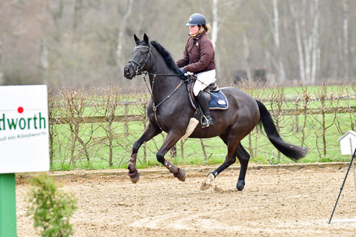 Reitsportzentrum Bremervörde 8.4.21 | 080421 Punktespring A JUN_074 