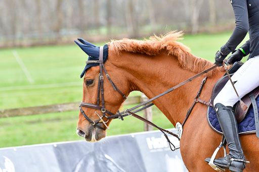 Reitsportzentrum Bremervörde 8.4.21 | 080421 Punktespring A JUN_095 