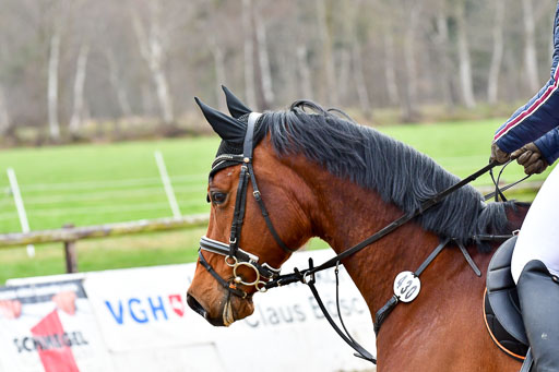 Reitsportzentrum Bremervörde 8.4.21 | 080421 Punktespring A JUN_112 