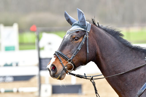 Reitsportzentrum Bremervörde 8.4.21 | 080421 Punktespring A JUN_124 