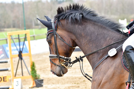 Reitsportzentrum Bremervörde 8.4.21 | 080421 Punktespring A JUN_144 