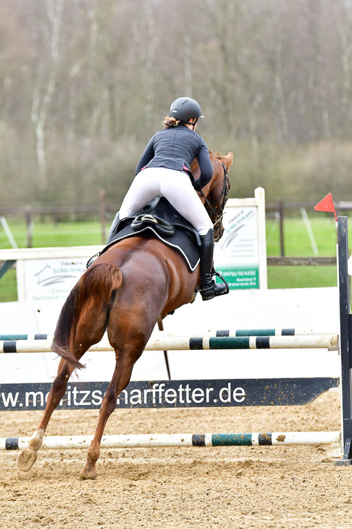 Reitsportzentrum Bremervörde 8.4.21 | 080421 Punktespring A JUN_189 