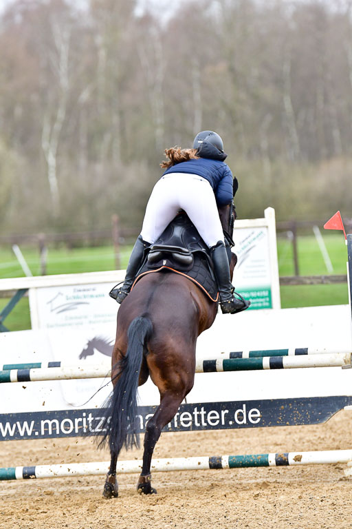 Reitsportzentrum Bremervörde 8.4.21 | 080421 Punktespring A JUN_228 