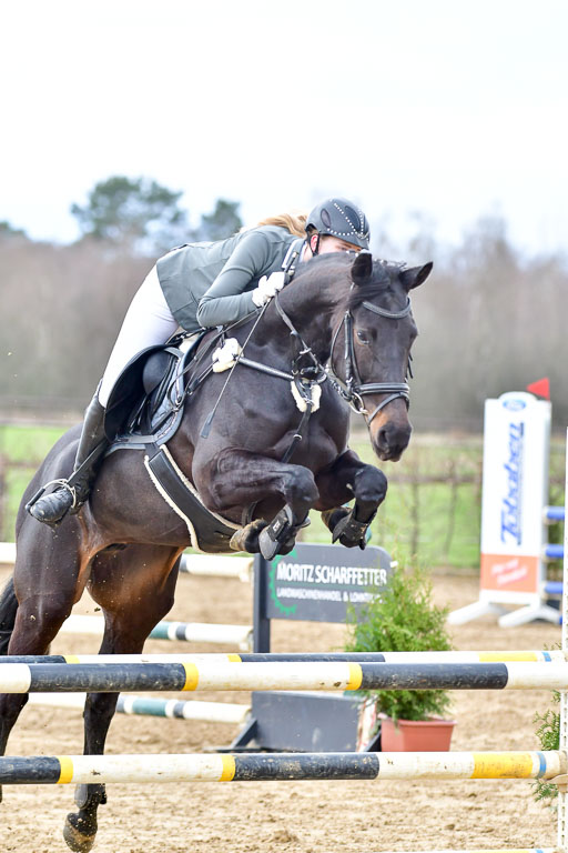 Reitsportzentrum Bremervörde  8.4.21 | 080421 Punktespring A _055 