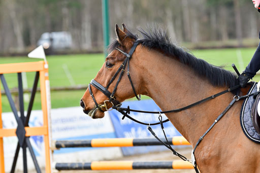 Reitsportzentrum Bremervörde  8.4.21 | 080421 Punktespring A _099 