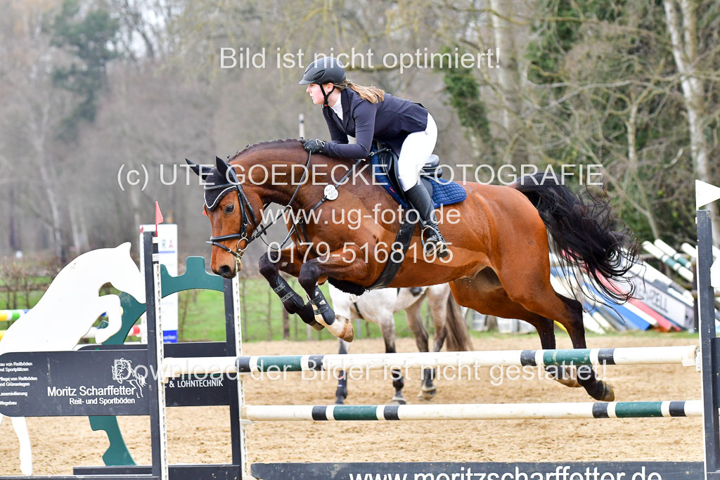 Reitsportzentrum Bremervörde 9.4.21 | 090421 Springen A++_091
