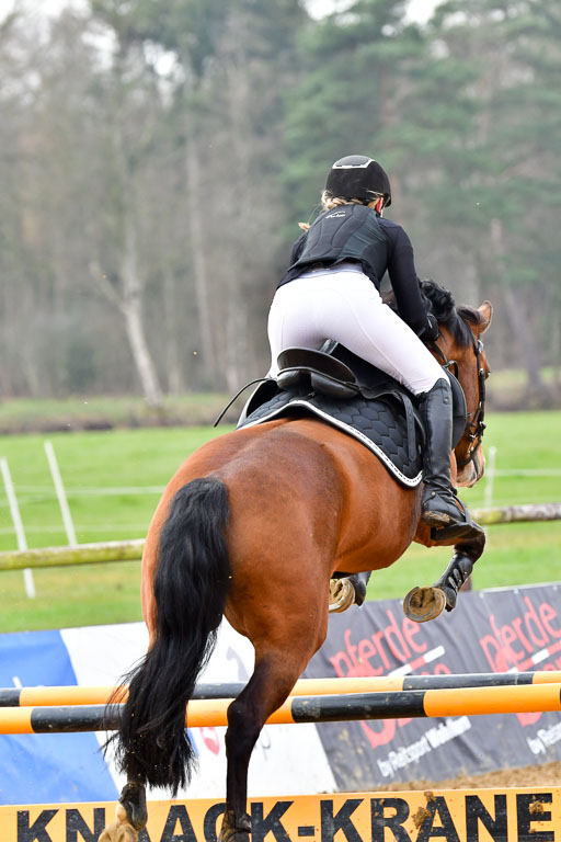 Reitsportzentrum Bremervörde 9.4.21 | 090421 Springen A++_015 