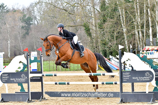 Reitsportzentrum Bremervörde 9.4.21 | 090421 Springen A++_036 