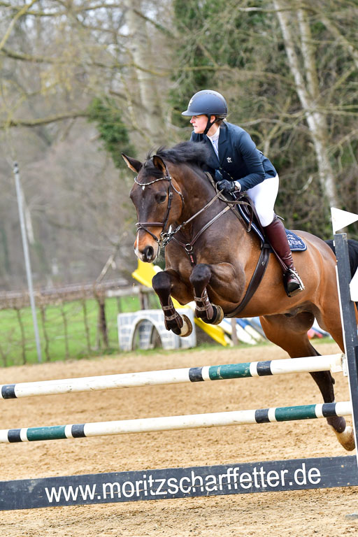 Reitsportzentrum Bremervörde 9.4.21 | 090421 Springen A++_140 