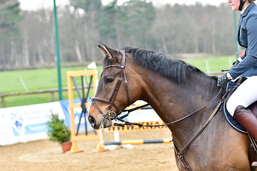 Reitsportzentrum Bremervörde 9.4.21 | 090421 Springen A++_142 