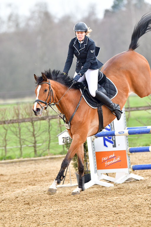 Reitsportzentrum Bremervörde 9.4.21 | 090421 Springen A++_186 