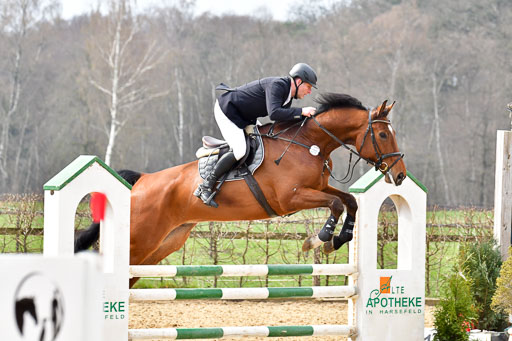Reitsportzentrum Bremervörde 9.4.21 | 090421 Springen A++_265 